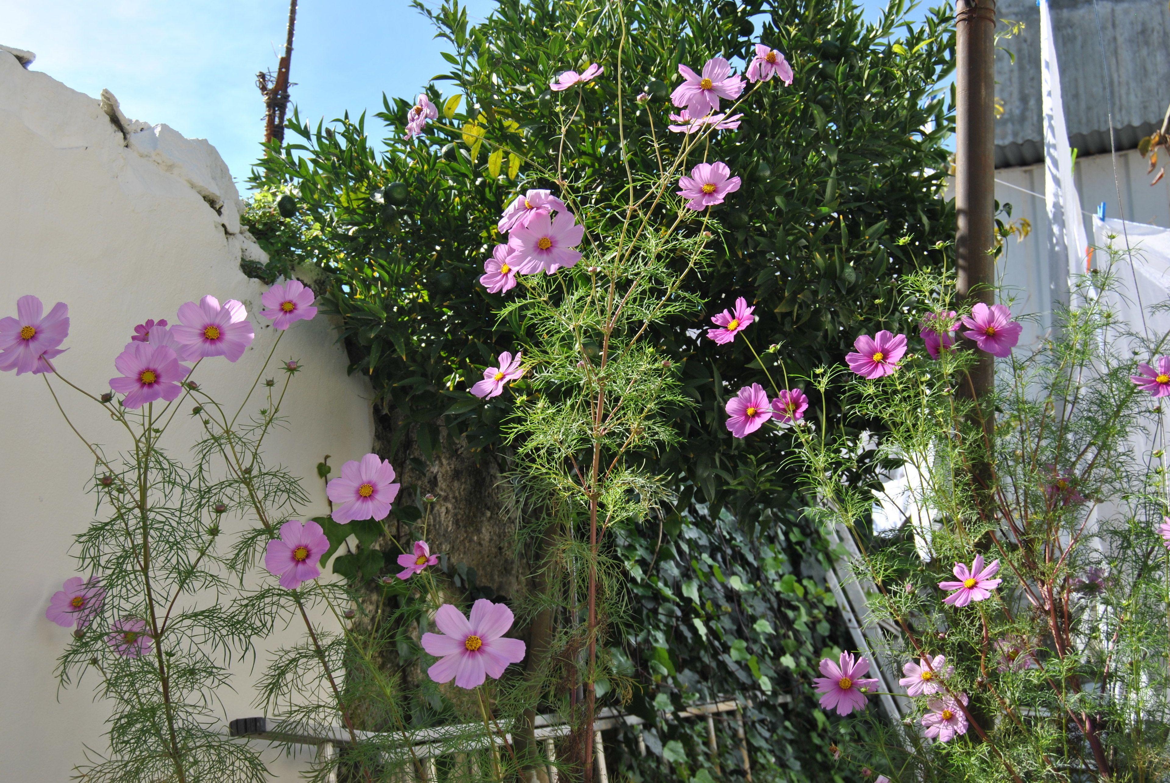 Residencial Sol Da Nave — Photos 1